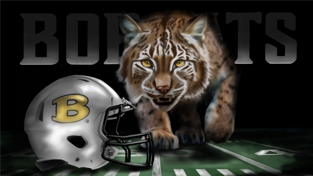 Bobcats Bobcats